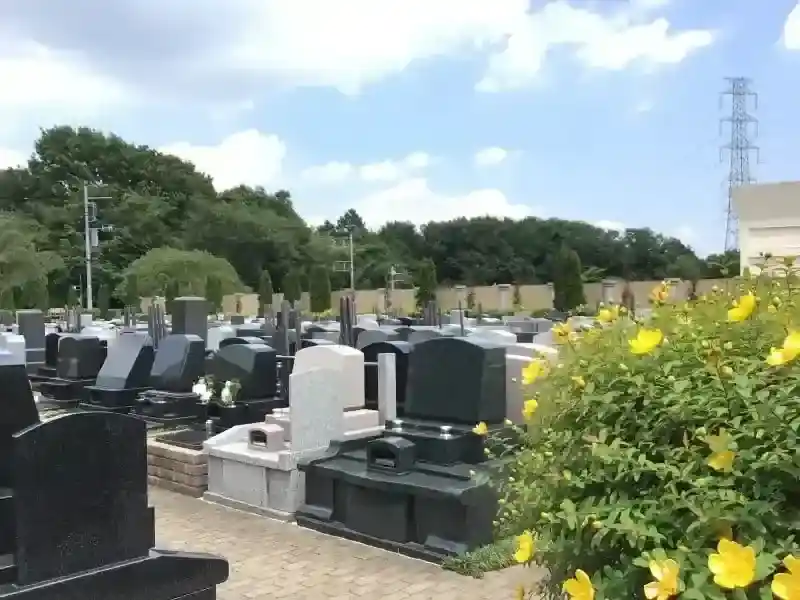 園内を彩る綺麗なお花