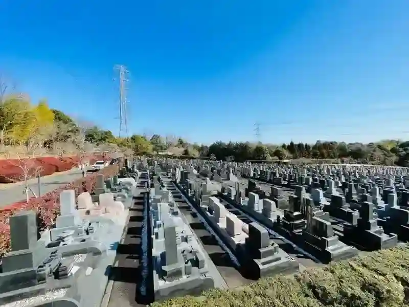 豊かな自然に囲まれています