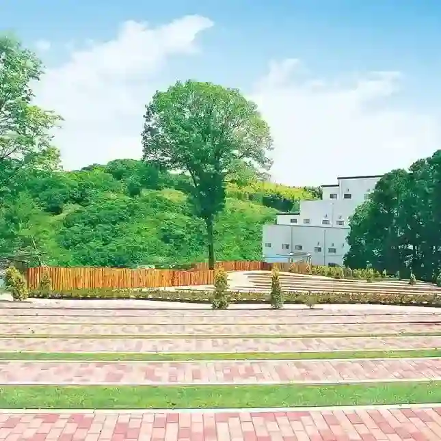 参道はしっかりと整備されています。