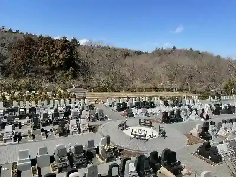 全景