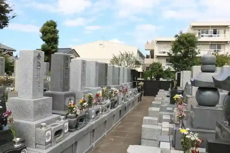 区域