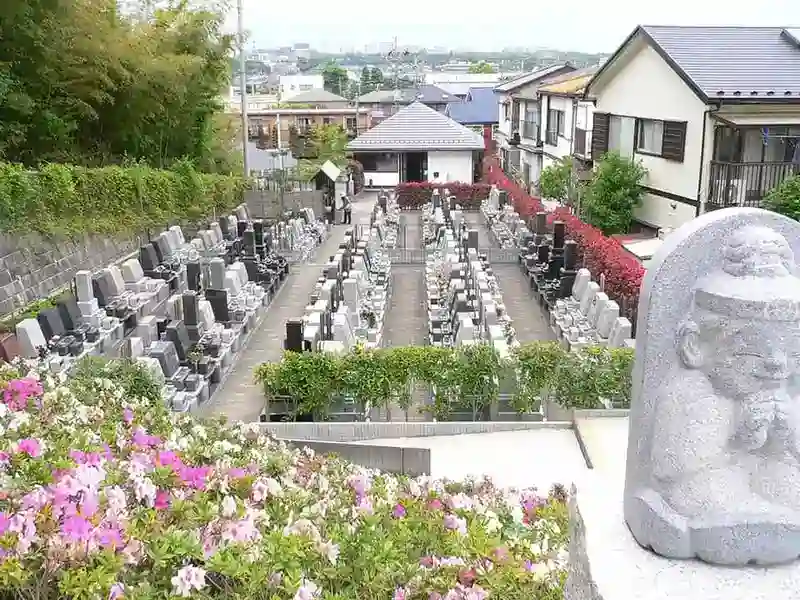 区域