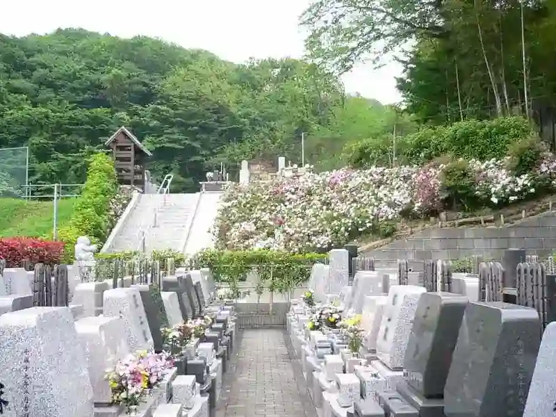 区域