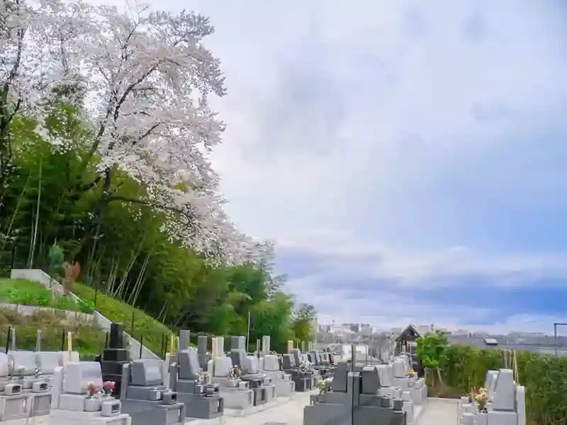 区域