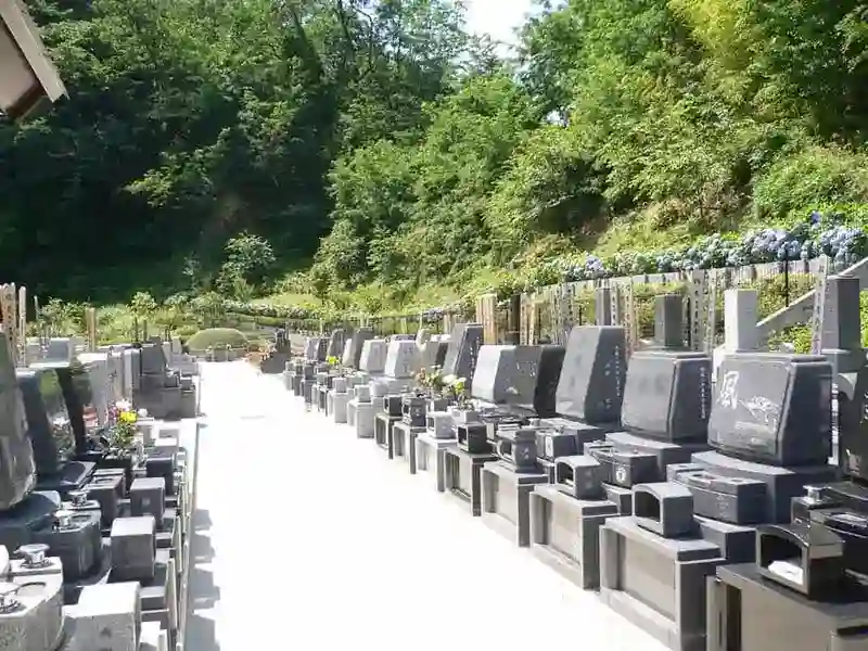 区域