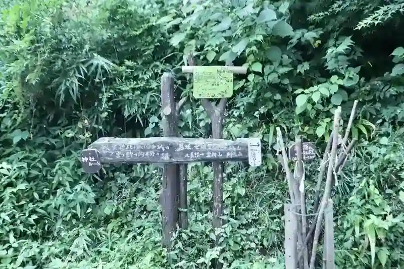 自然豊かなハイキングコース