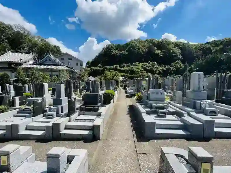 歩きやすい参道