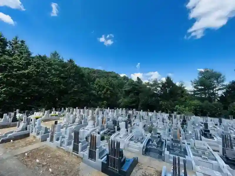 墓地