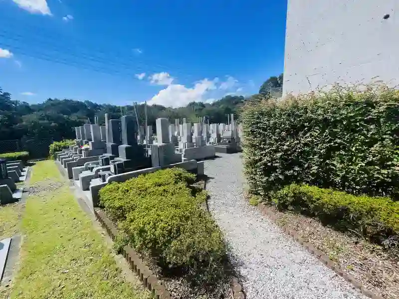 区画全景③