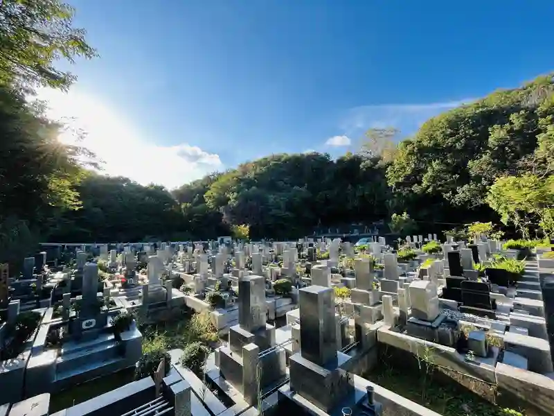 墓地全景