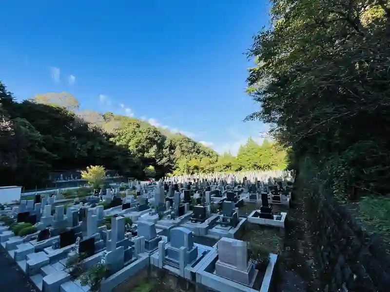 墓地全景