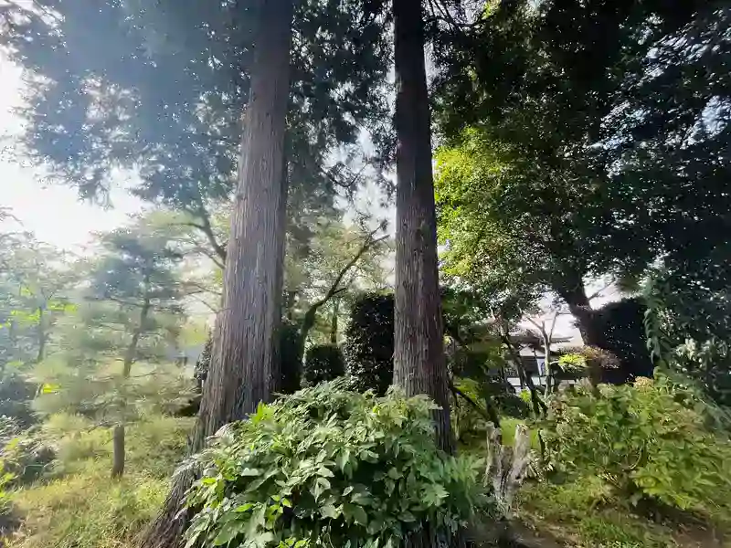 園内風景②