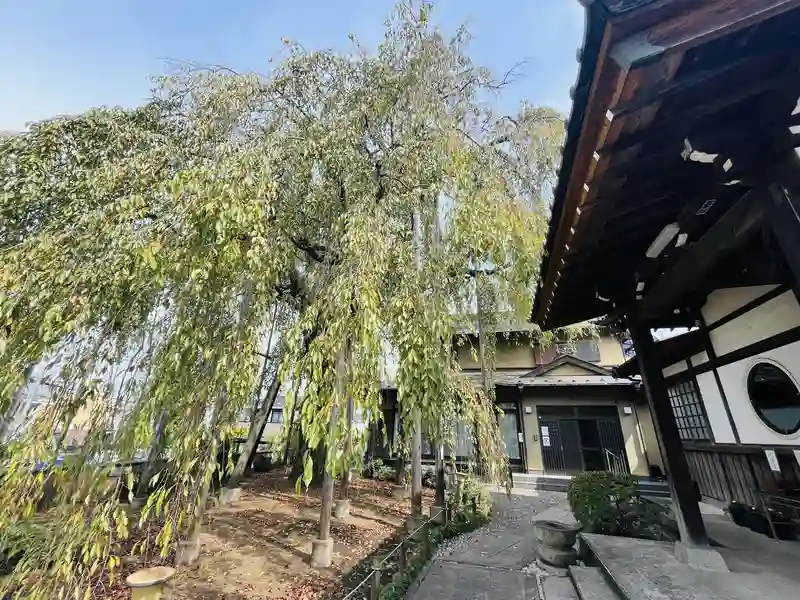 園内風景①