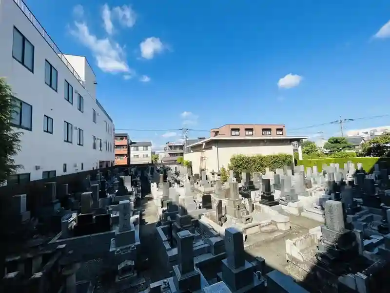墓地①