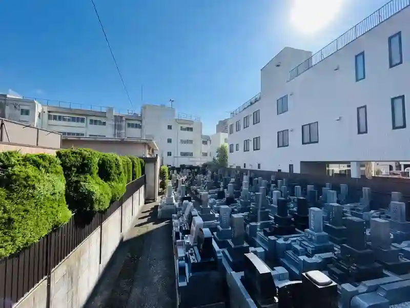 墓地②