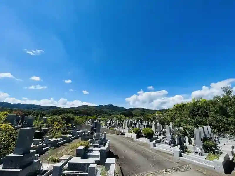 墓地全景④