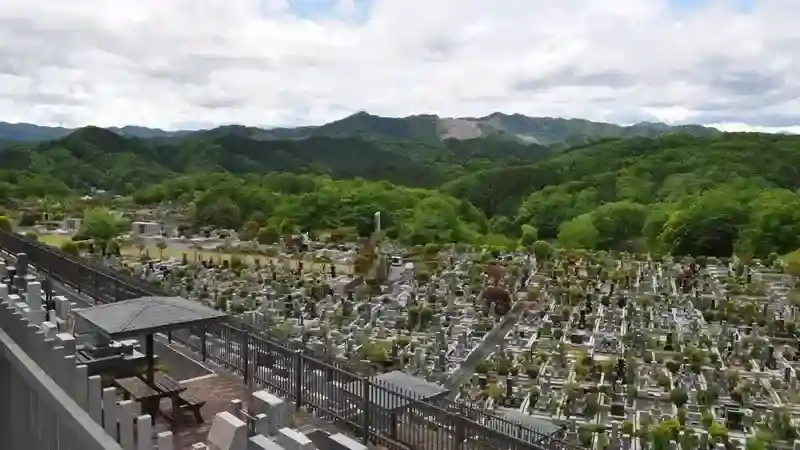 全景