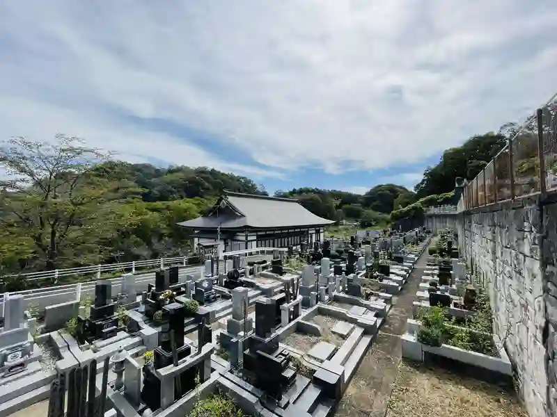 墓地全景