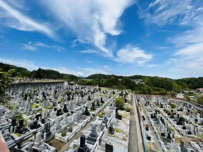 墓地全景
