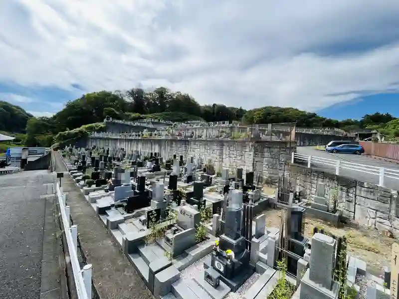 墓地全景