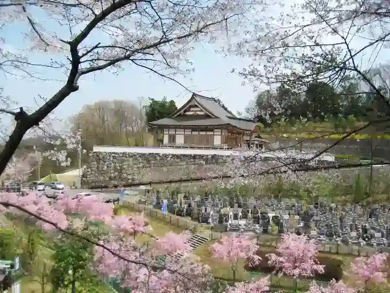 青葉霊苑の桜