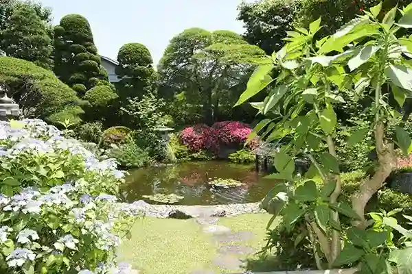 きれいに管理された敷地内