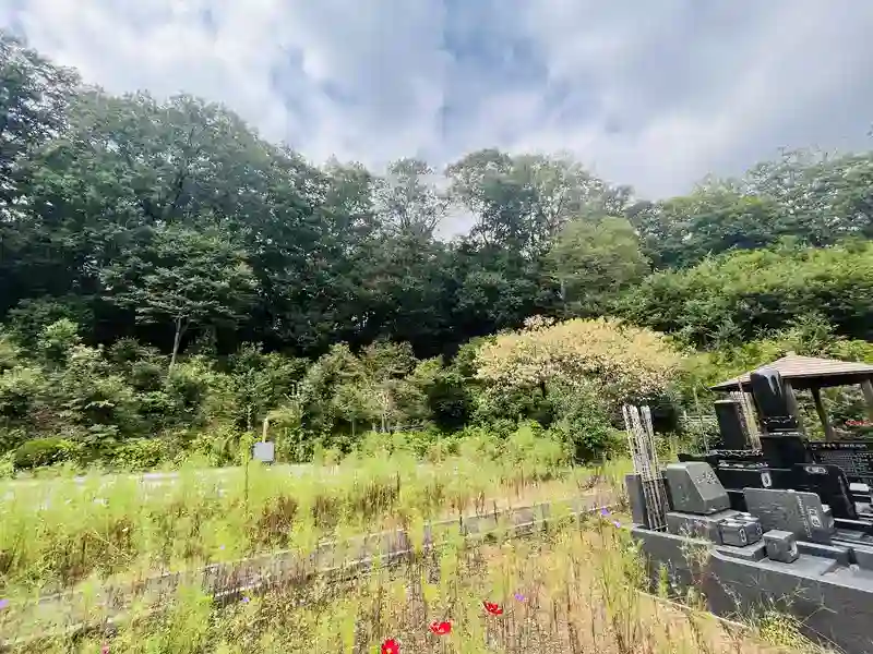 周辺環境