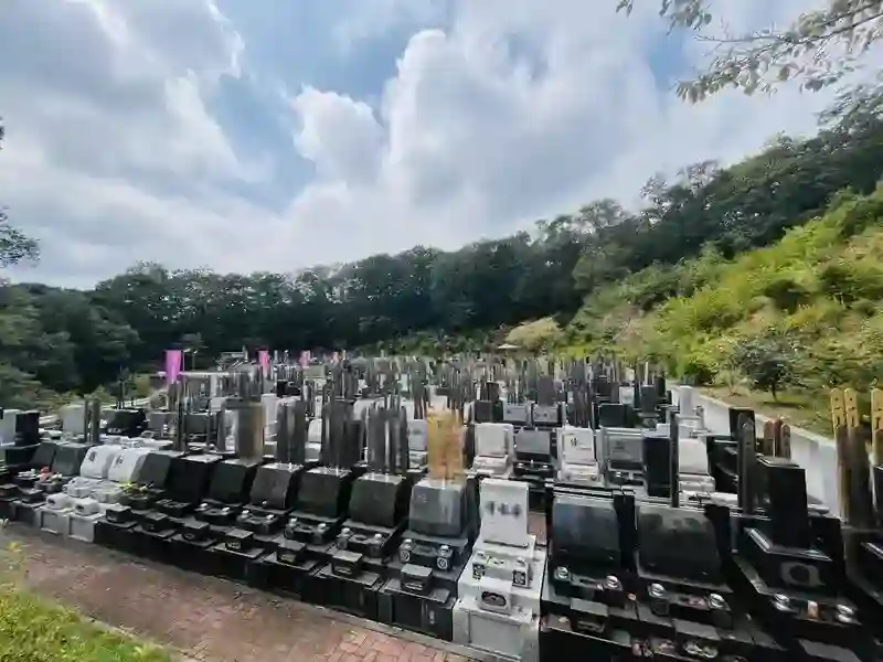 全景