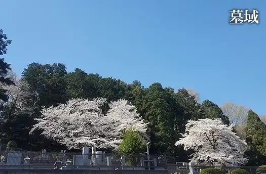 開放感のある墓域