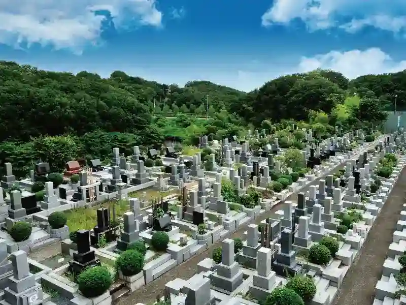 区画全景③