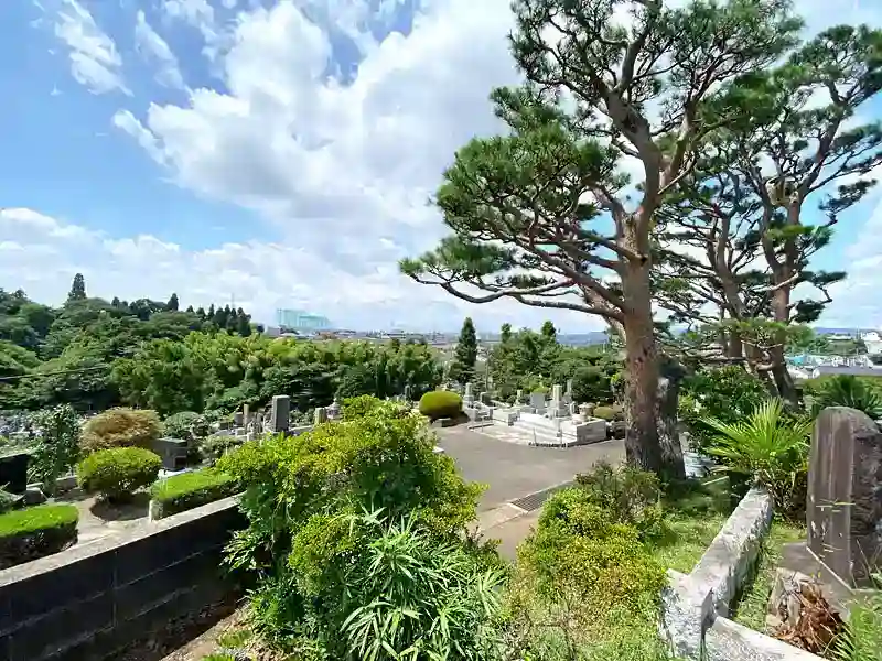 広い空とすがすがしい景観