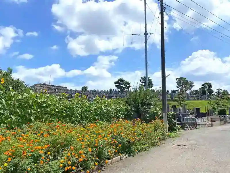 夏の墓域