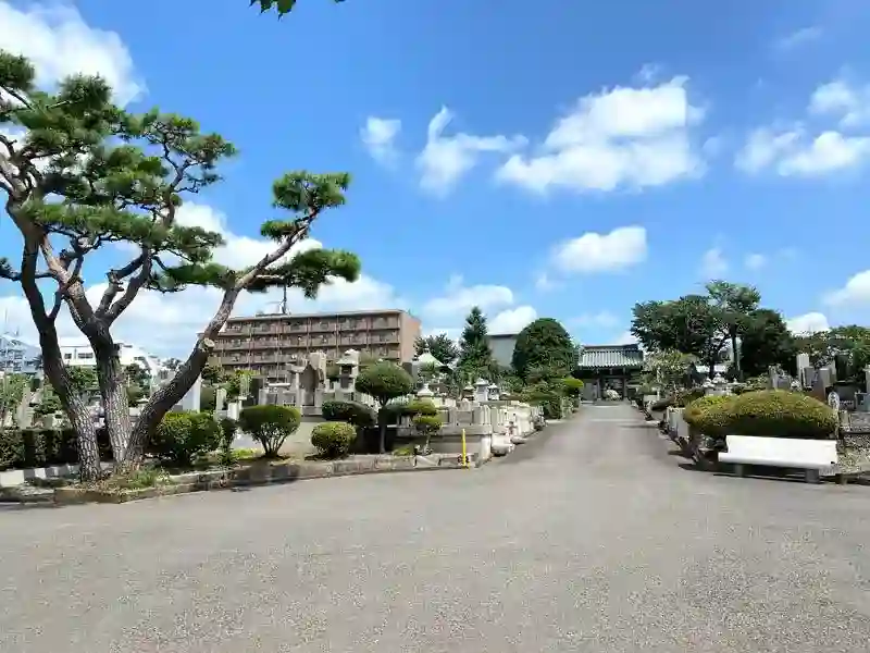 直入院
