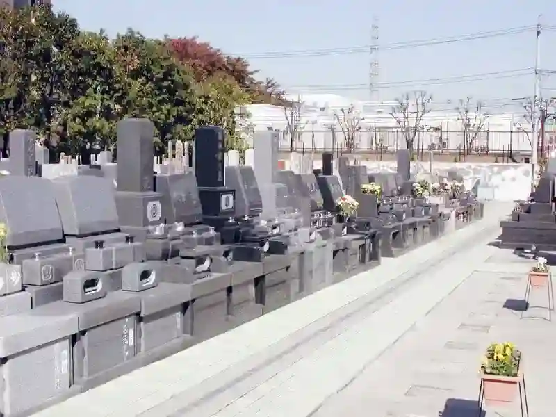 墓域③