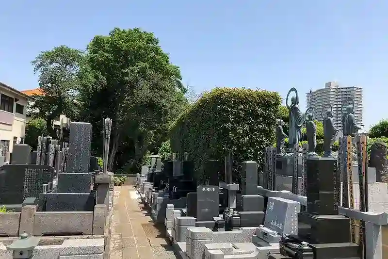 区域