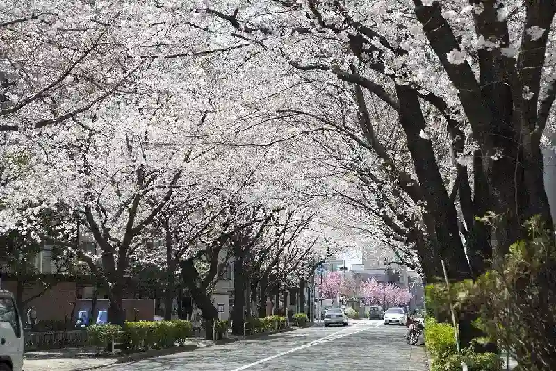 近隣　かむろ坂