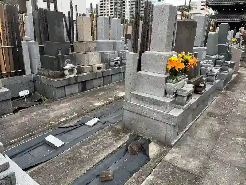 墓域③