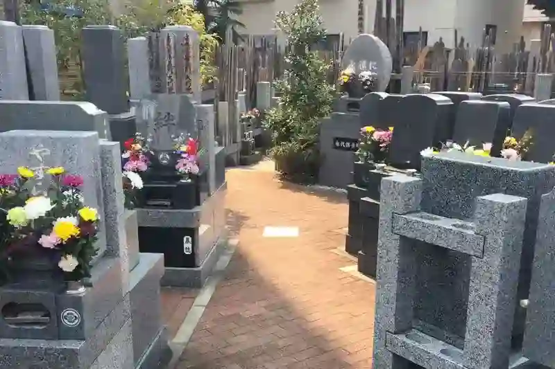 墓域①