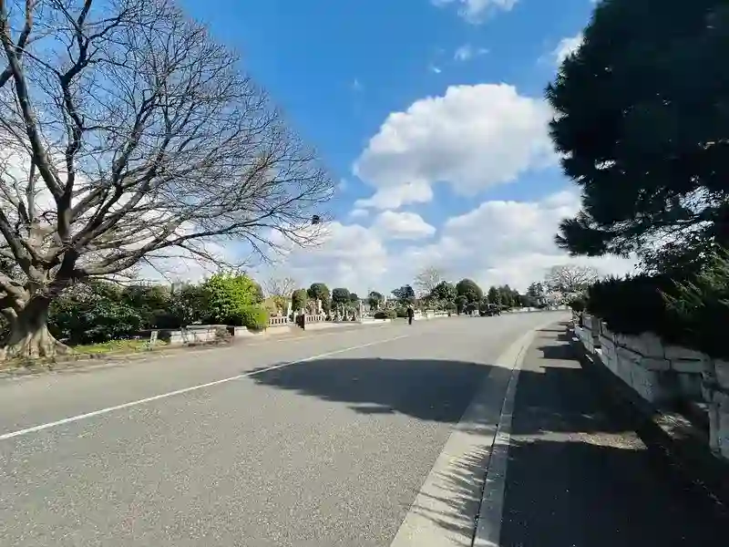 自然に囲まれています