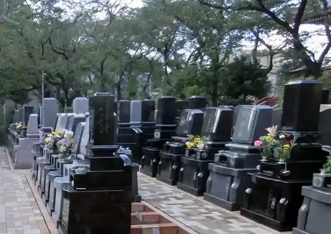 墓域③