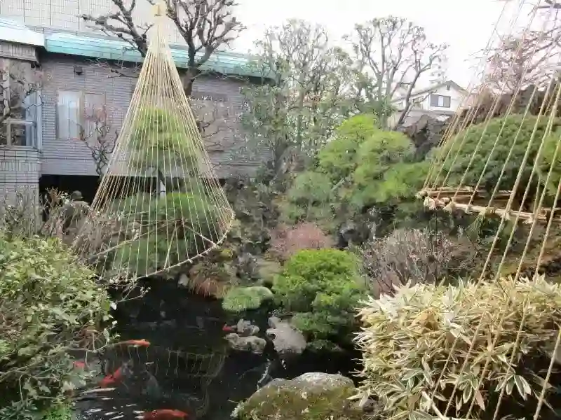境内寸景