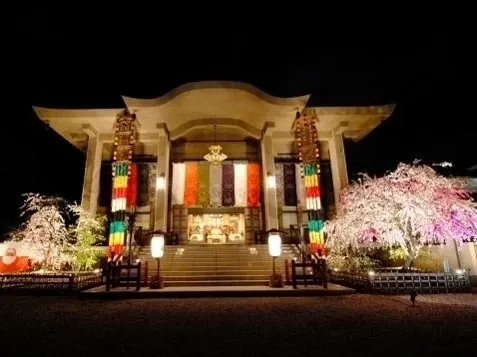 本堂夜景