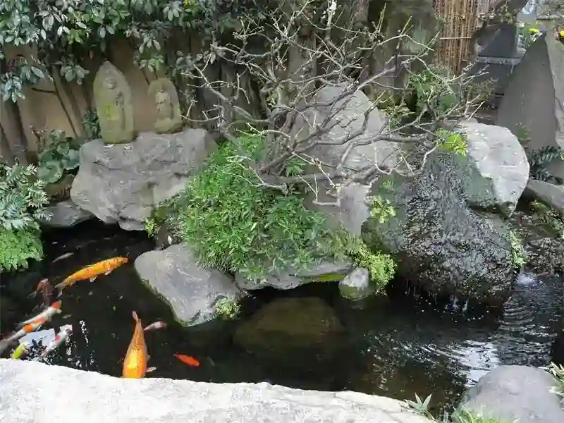 境内寸景