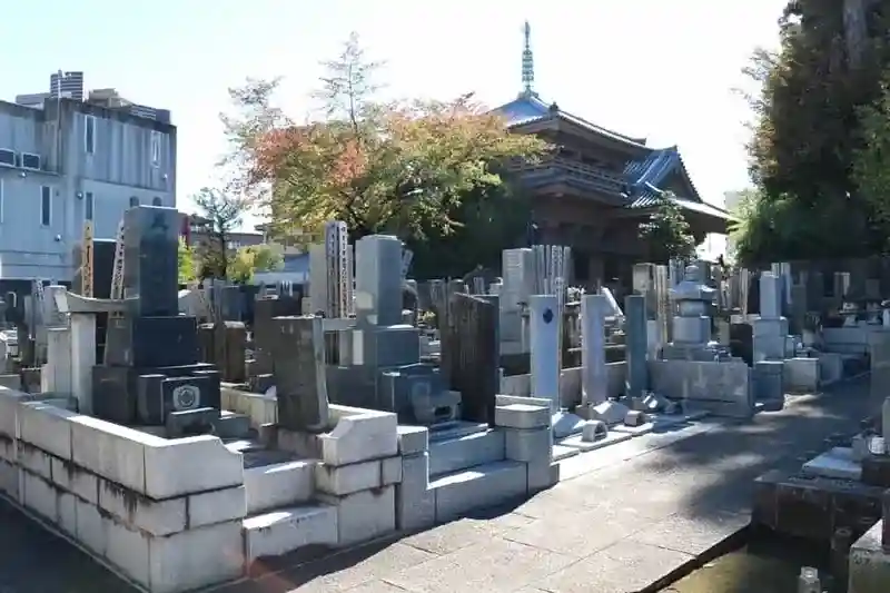 墓域