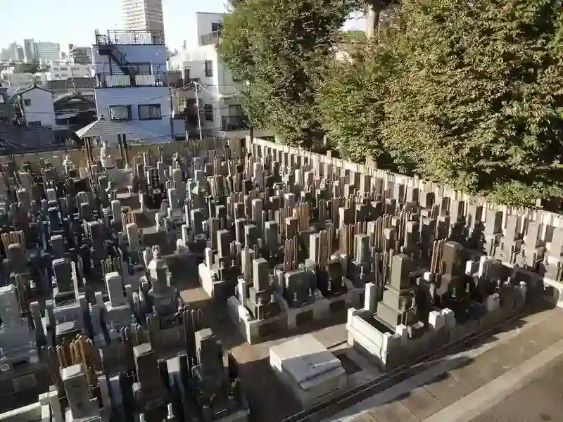 墓地全景