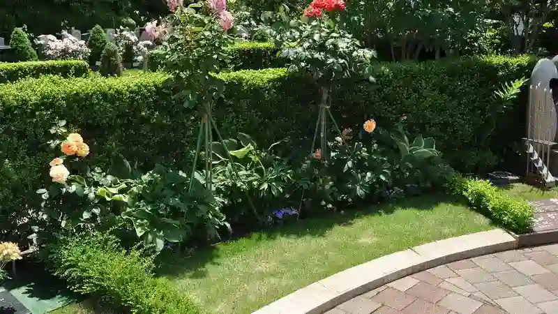 練馬ねむの木ガーデン　樹木葬