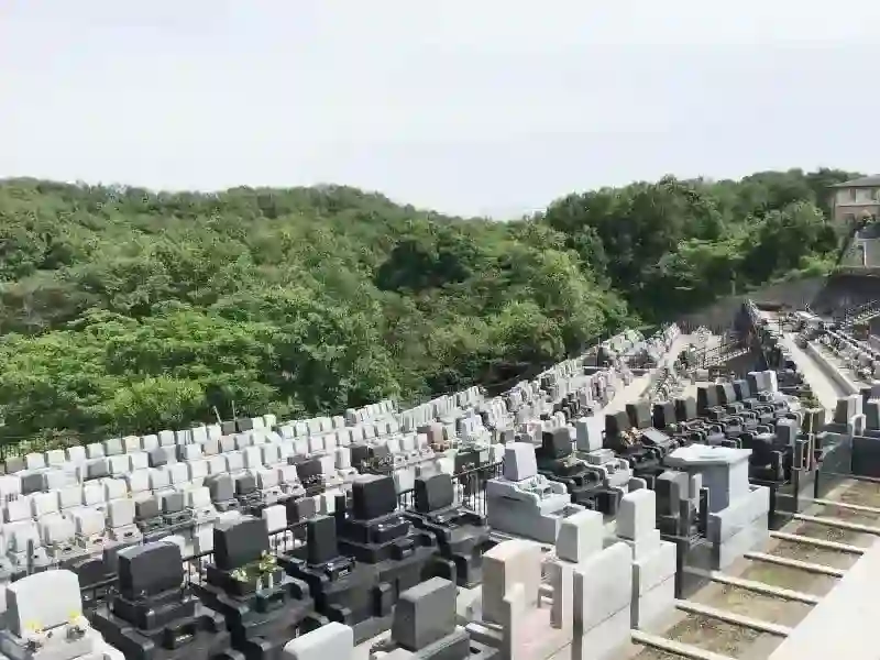 墓域①