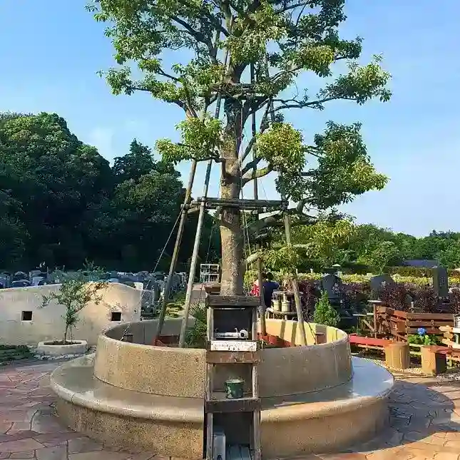 緑の多い霊園環境