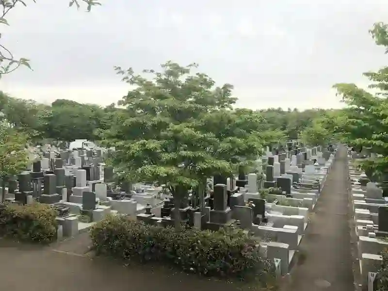 墓域③