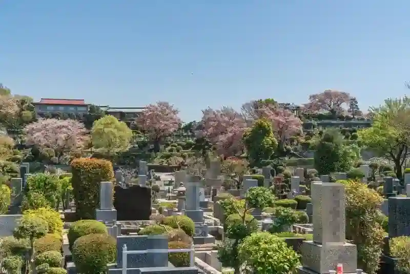 綺麗に映える植栽
